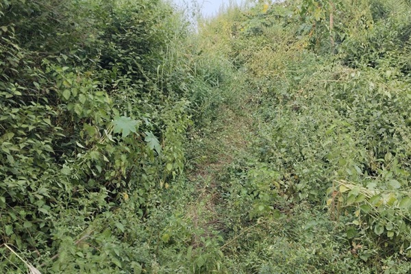 Baharagoda : मानुषमुड़िया में छठ घाट की उपेक्षा, जर्जर सड़क और गंदगी से परेशान व्रती