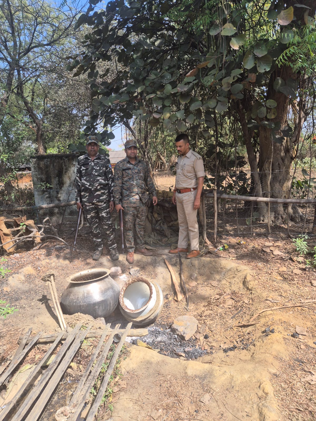 Saraikela: सरायकेला में अवैध महुआ शराब पर उत्पाद विभाग की बड़ी कार्रवाई, 1100 किलो जावा महुआ नष्ट