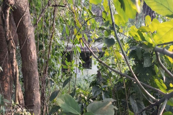 Bahragora: खांडामौदा श्मशान घाट तक सड़क नहीं, अंतिम यात्रा में भी झेलनी पड़ती है ‘नरक’ की पीड़ा