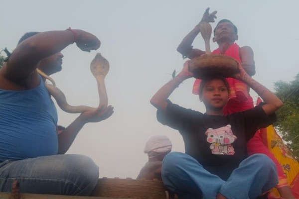 Bahragora: बहरागोड़ा में मनसा पूजा, गले में साँप लपेटकर उस्तादों ने दिखाई अद्भुत कला