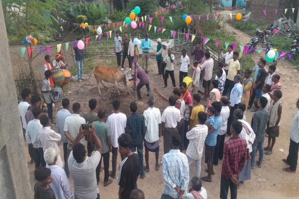 Silli: सोहराय पर्व में झूम उठा किता, परंपरागत ‘बरद भिड़का’ ने बांधा समां