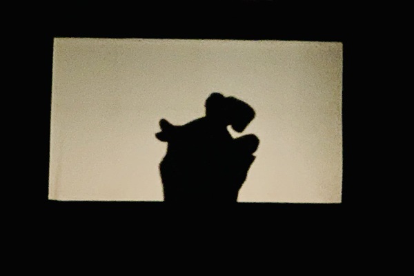 Jamshedpur : बाल मेले में अमर सेन के छाया नाटक का जादू, अद्भुत प्रस्तुति से दर्शक हुए मंत्रमुग्ध