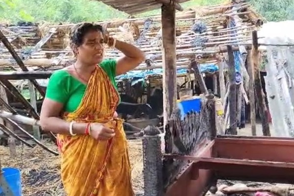 Chandil : झोपड़ी में लगी भीषण आग, हजारों की संपत्ति और मवेशी जलकर खाक