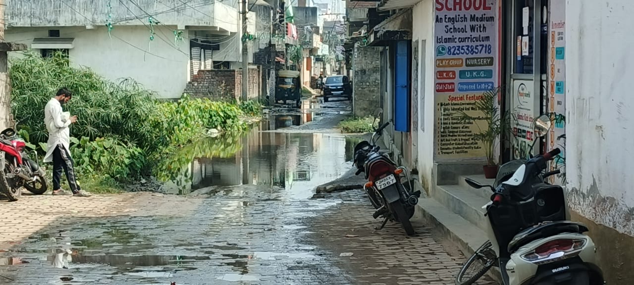 Jamshedpur: मानगो में जलजमाव और गंदगी से परेशान मोहल्ला, निगम के मौन पर लोगों में रोष