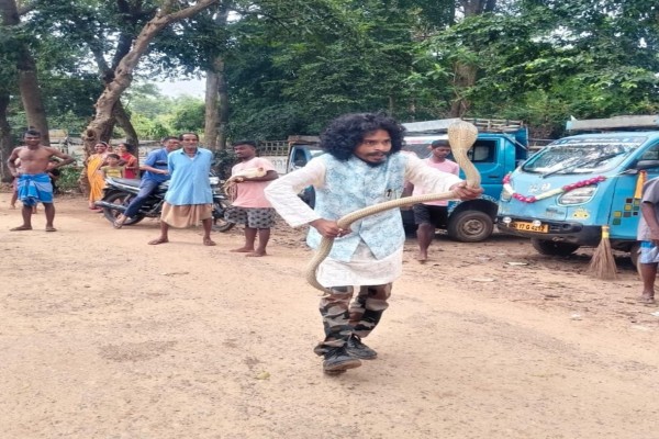 Bahragora: घर में घुसा जंगल से भटका कोबरा, घरवालों में मची अफरा-तफरी