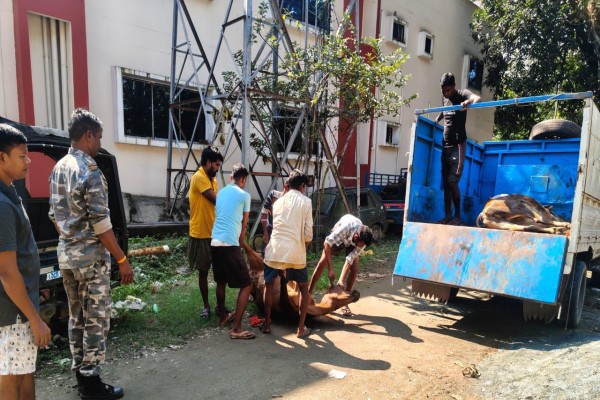 Chandil: गौ तस्करी का भंडाफोड़! पाटा टोल प्लाज़ा के पास 60 से अधिक गाय-बैल बरामद, तस्कर गिरफ्तार