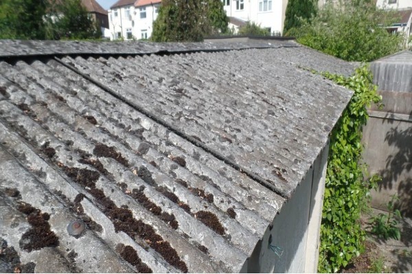 Jhargram: NGT ने ठुकराई स्कूलों में एस्बेस्टस पर पूर्ण प्रतिबंध की मांग, उद्योग जगत खुश