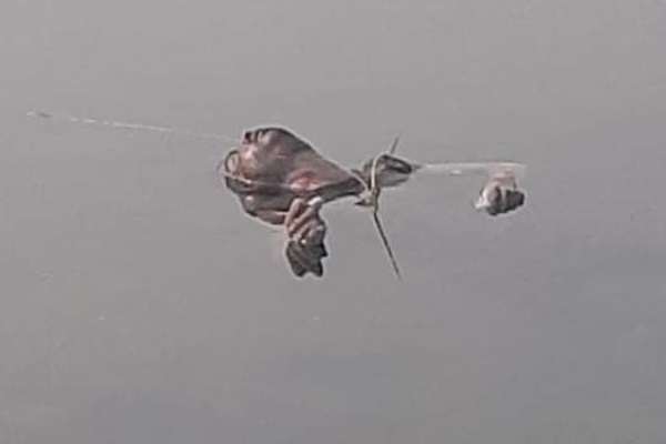 Seraikela : खरकई नदी से युवक का शव बरामद, परिवार में मचा कोहराम