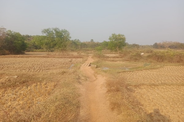 Baharagoda : आजादी के दशकों बाद भी सड़क से वंचित नाकदोहा गांव, पगडंडी बना ग्रामीणों का सहारा