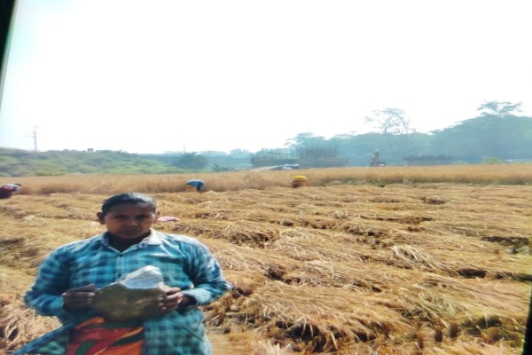 Ranchi: उरंगढा नदी पर पुल निर्माण के दौरान विस्फोट, पत्थर छिटकने से महिला घायल