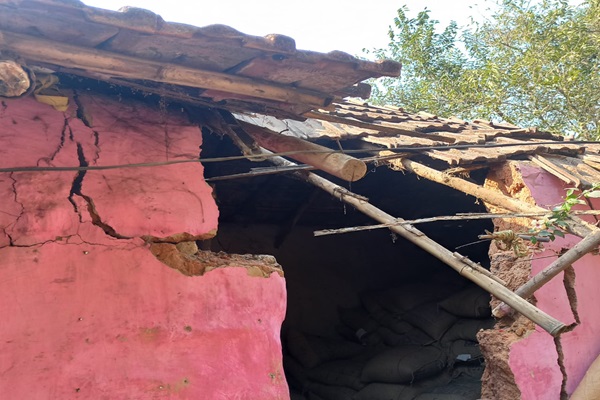 Baharagoda : बहरागोड़ा में जंगली हाथी की दस्तक, चंचलदा गांव में दहशत