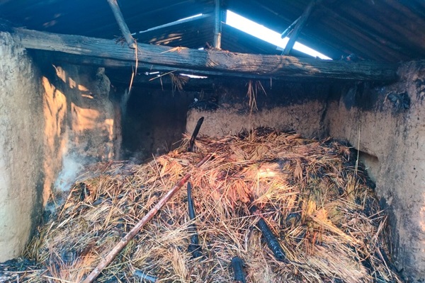 Baharagoda : बहरागोड़ा में पटाखा की चिंगारी से गौशाला में लगी आग