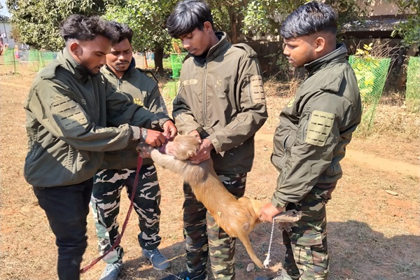 Baharagoda : बहरागोड़ा को मिला ‘खौफ’ से छुटकारा, 80 लोगों पर हमला करने वाला बंदर पकड़ा गया
