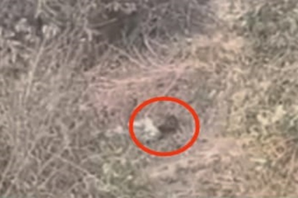 Seraikela : चाण्डिल के शहरबेड़ा पुल के नीचे मिला व्यक्ति का शव, इलाके में फैली सनसनी