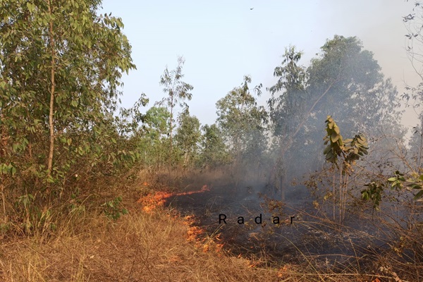 Baharagoda : बहरागोड़ा में एनएच-18 किनारे जंगल में लगी आग, सैकड़ों पौधे जलकर नष्ट