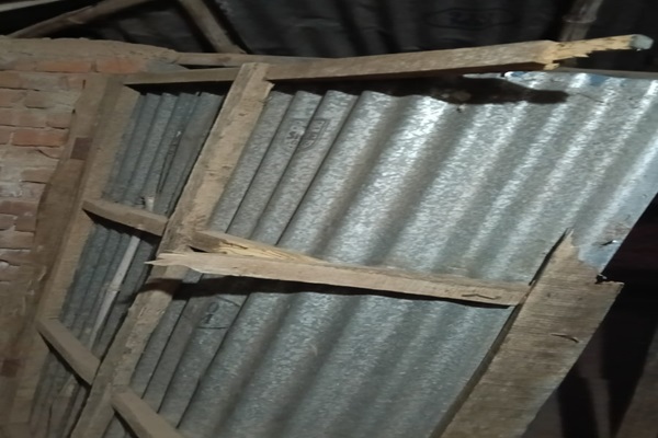 Bahagaroda : जंगली हाथी के तांडव से ग्रामीण भयभीत