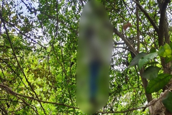 Jamshedpur : जुगसलाई कब्रिस्तान के समीप जंगल में पेड़ से लटकी मिली 17 वर्षीय लड़की की लाश, अनहोनी की आशंका