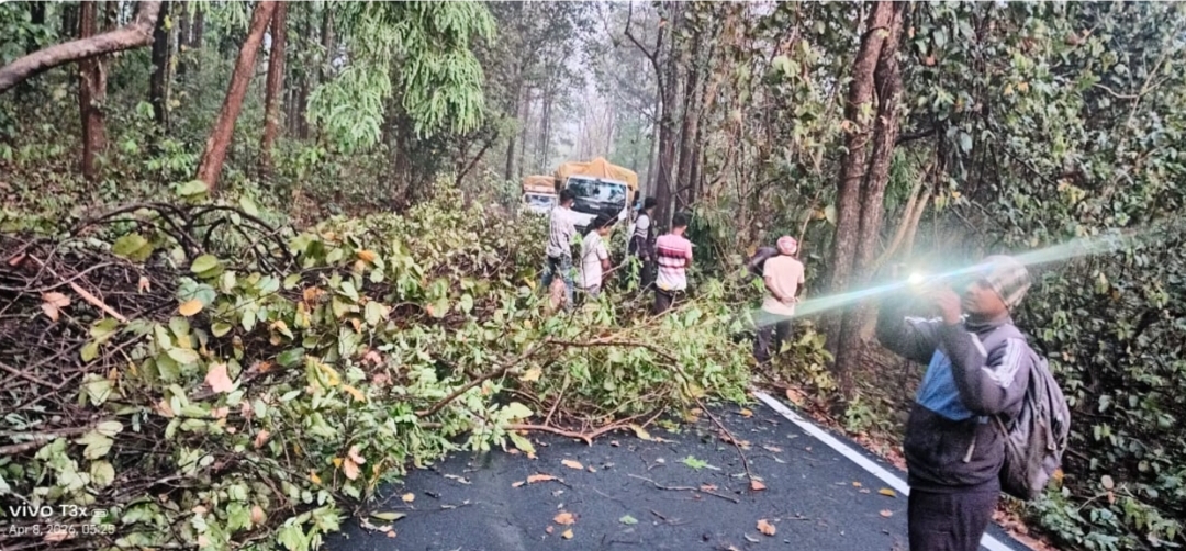 Gua : तेज आंधी-बारिश से जनजीवन प्रभावित, मुख्य सड़क पर पेड़ गिरने से घंटों जाम