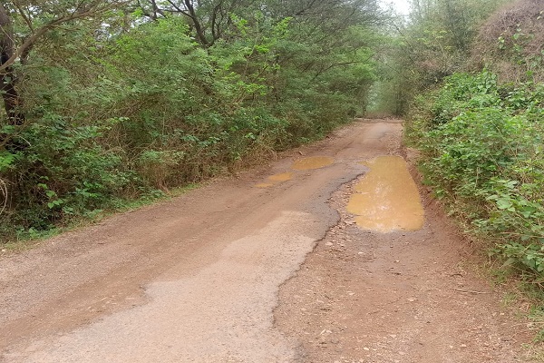 Bahragora : बदहाली के आंसू रो रही झरिया-बांकदह सड़क, उभरे गड्ढों से ग्रामीण परेशान