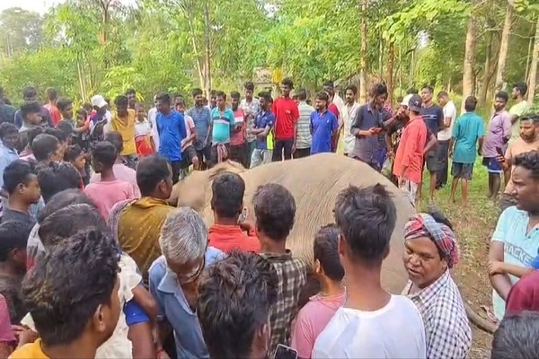 Jhargram : करंट से हाथी की मौत मामले में कौशला हेरिटेज के मालिक महेश मेहरा व सहयोगी समीर महतो जयपुर से गिरफ्तार