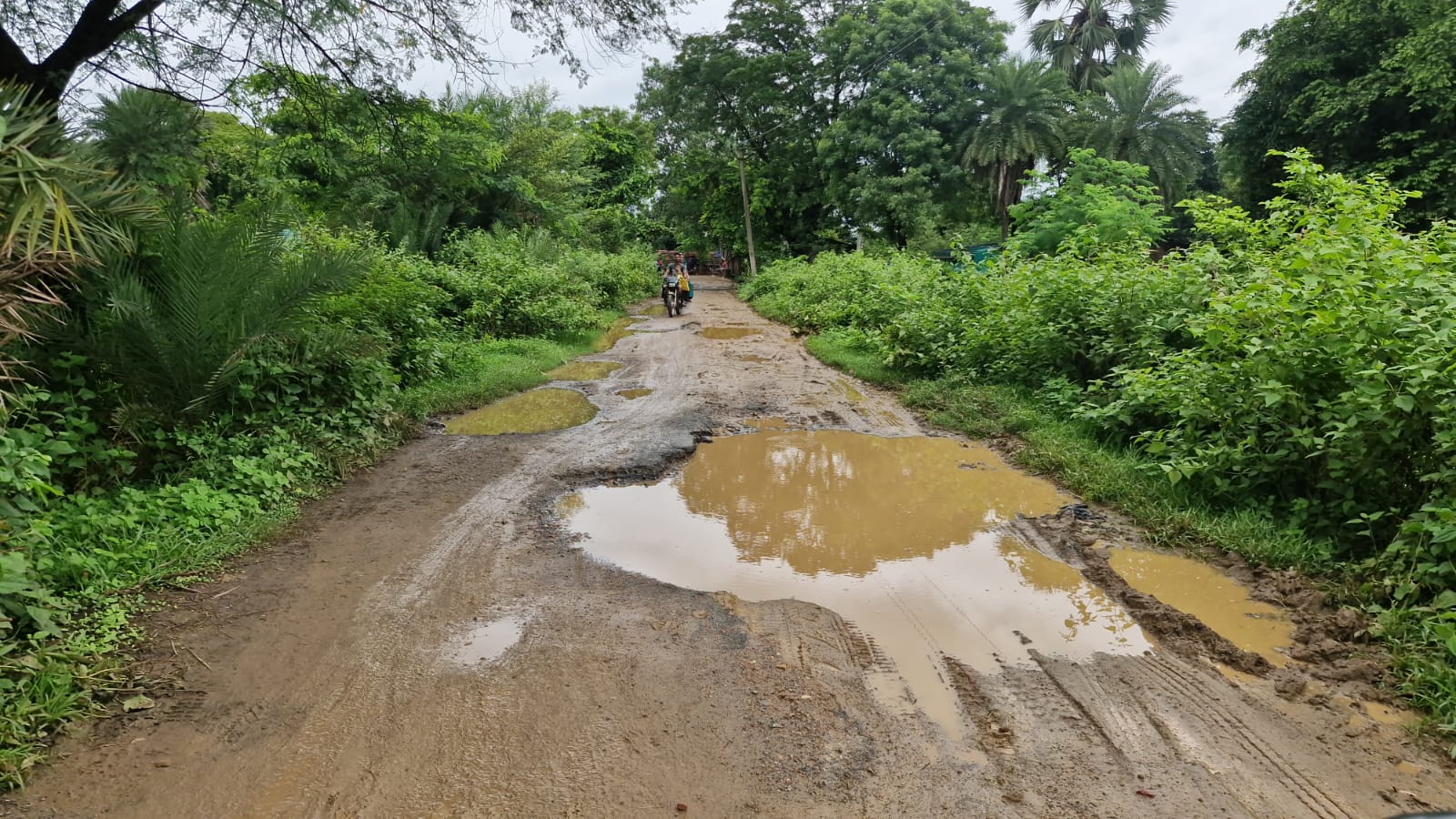 Potka : मानपुर पहुंचने का रास्ता बना जानलेवा, सड़क निर्माण की मांग को लेकर ग्रामीणों ने किया जोरदार प्रदर्शन
