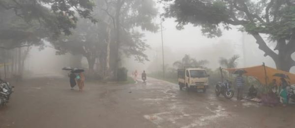 Gua : लगातार बारिश और घने कोहरे से सारंडा में जनजीवन प्रभावित, किसानों के चेहरे खिले, धान की रोपनी में आयी तेजी