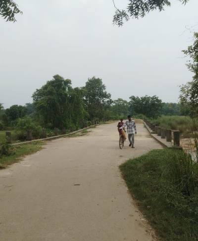 Bahragora : जर्जर पचंडो-रांगुनिया पुल से जान जोखिम में डालकर सफर करने को मजबूर दर्जनों गांवों के ग्रामीण