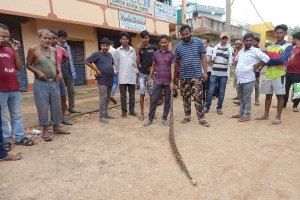 Bahragora : ईंटामुड़ा गांव में दिखा 10 फीट का अजगर, ग्रामीणों में मचा हड़कंप, सर्प मित्र की तत्परता से बड़ी घटना टली