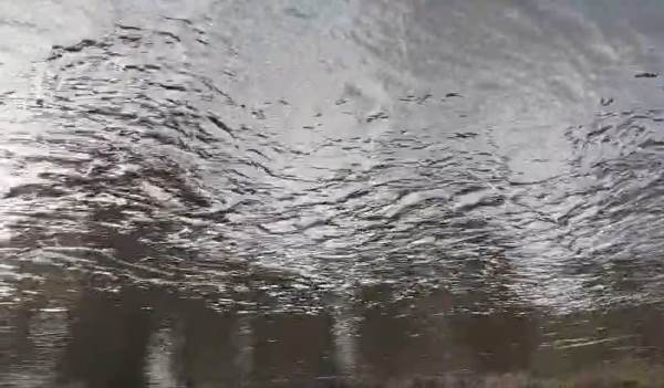 Ranchi : रुंगटा के सुंदरगढ़ कामंडा प्लांट में भीषण हादसा, टैंक फटने से 12 श्रमिकों की मौत, कारो और दक्षिण कोयल नदी में घुला जहरीला पानी